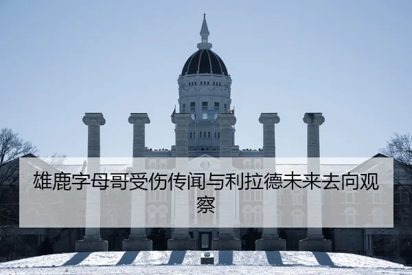 xiong-lu-zi-mu-ge-shou-shang-chuan-wen-yu-li-la-de-wei-lai-qu-xiang-guan-cha-2-533.jpg